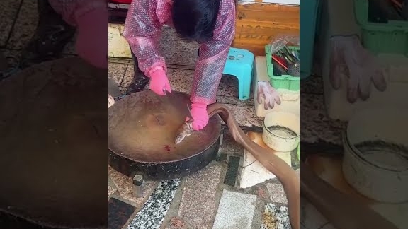 азиатский болотный угорь. мясо жирное и считается деликатесом.