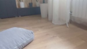 Sqfehr