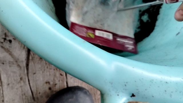 Распаковка #дербенника, #сальвии и #вероники из посылки от агрофирмы Поиск — оценка саженцев.
Видео.