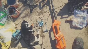 Готовим триммер Витязь Минск ТЭ-1500Р к новому дачному сезону  29.03.2026