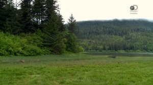 Аляска: Семья из леса 7 сезон 7 серия (реалити-шоу, 2017)