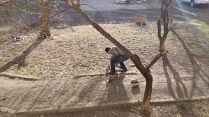 Спилили ветку опасную для машины.