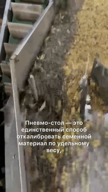 Калибровка на пневмостоле.