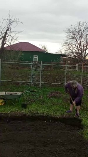 мой огород и мои питомцы. Сегодня пасмурно и возможно скоро будет дождь