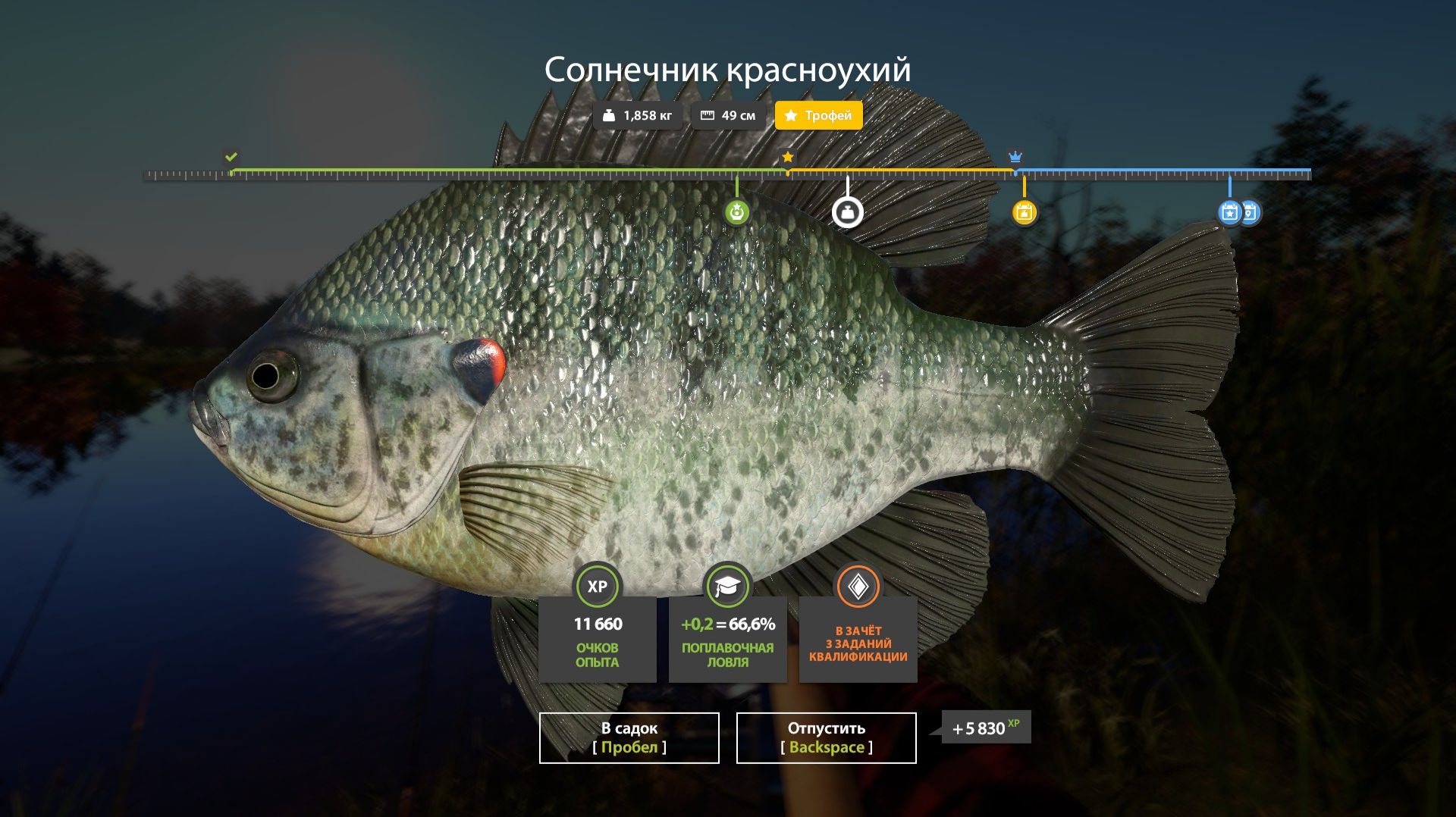 Играем в Russian Fishing 4 ловим окуня,краппи и другую рыбку на оз.Лосиное.