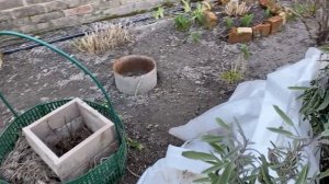 30-03-2026  полив орхидей, обрызгала  деревья , гортензии чуть не пропали.