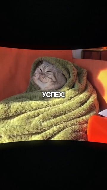 Мой поток внимания