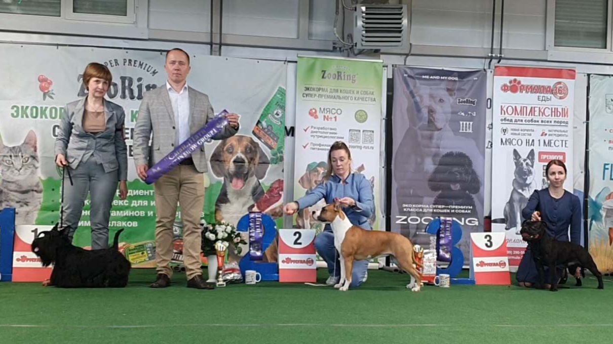 07.03.2026, СПб. Клуб «ПРЕЗИДЕНТ». Выставка CAC 3 группы FCI