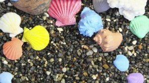 Ныряла рыбкой в сине море (1)