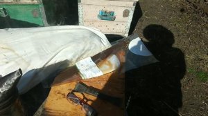 Пересадка семьи.