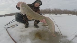 Рыбалка в Сибири на Оби, часть 97.