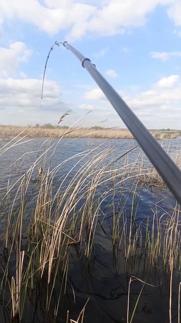 весенняя рыбалка на карася на боковой кивок.