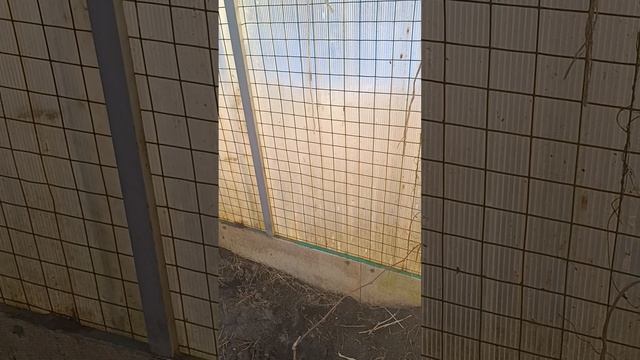 Автоматический инкубатор Smart Home (модель FK 474904-10)