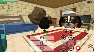 эволюция собачек 1 сезон 5 серия вернулись домой