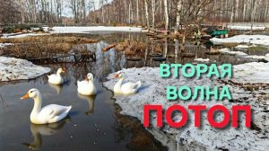 Потоп Вторая волна Нашел причину наводнения