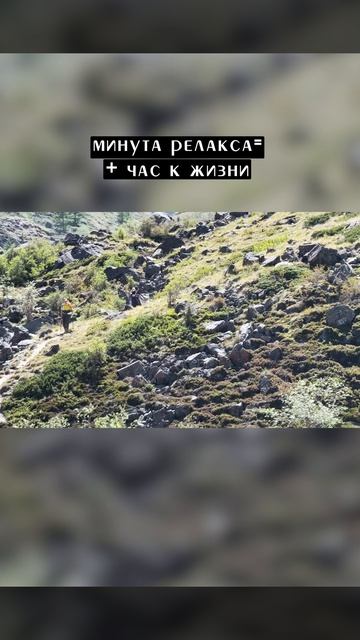 Релакс в долине Аккола #altay #горы #ледник