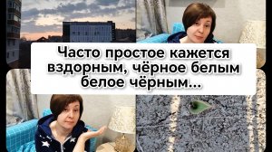 29-03-2026 Первый рабочий день после отпуска🤯 Мои тюльпаны🌷 Ваши комментарии❤️