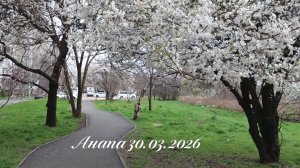 Анапа 30.03.2026