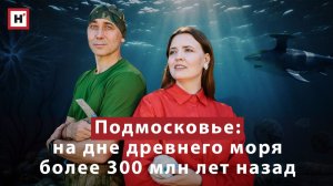 Фильм о каменноугольном периоде «Подмосковье: на дне древнего моря» с участием российских ученых