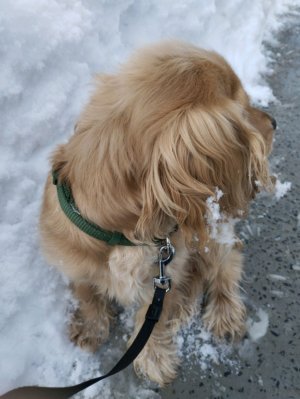 обзор на дом.