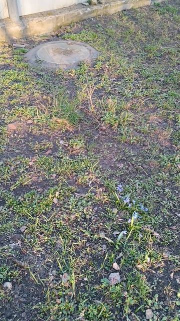 Огородные дела.