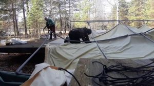 разобрали второй сафари-тент