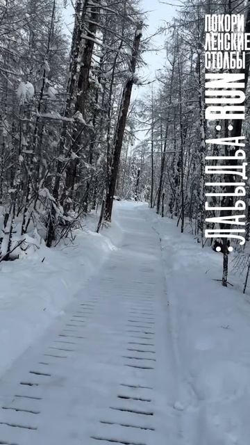 🏔️ Краткий обзор на дистанцию 2.6 км по экотропе #ЛабыдьаRUN (1)