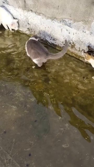 Юные рыбачки