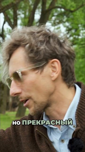 Садовые растения. Выбираем лучшие цветы и травы