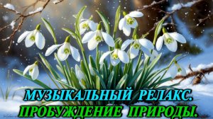 Музыкальный релакс. Пробуждение природы.