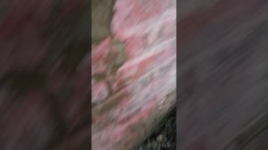 VID_20260329_195244.mp4