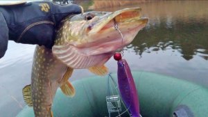 Самая Лучшая и Шикарная рыбалка с Лодки. Ловим Кучу Щук. Гигантские Поклёвы. Русская Рыбалка Онлайн