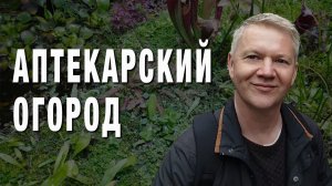 Аптекарский огород в Марте 2026 года