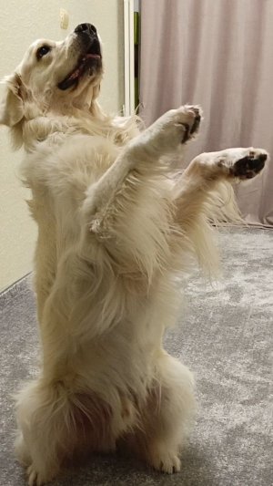 За таблетку можно всё! Отдай футболку, Зелёный!