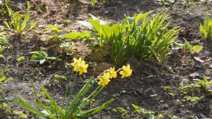 ВЕСЕННИЕ ГОЛОСА 30.марта.26 год