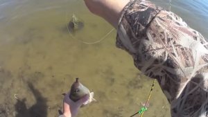 Рыбалка в паводок на Волге на червя. Рыбалка на донки.