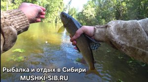 ЧАТЬ 1/ ПОКЛЕВКИ КРУПНОГО ХАРИУСА НА ТАЕЖНОЙ РЕКЕ!!!УЛОВИСТЫЕ ПРИМАНКИ НА ХАРИУСА!