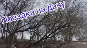 Первая рассада поехала на дачу 28.03.26