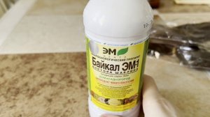 НА БАЛКОНЕ ВСЕ ВЗОШЛО / НАЧАЛО ХОРОШЕЕ