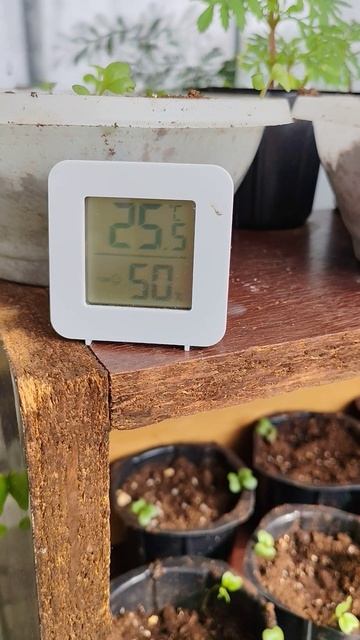 Без Ламп супер дорогих…. ✅✅✅ 
Всё возможно✅