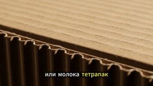 польза картона для почвы.mp4