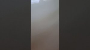 2 часть в РОДОМЕ