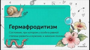 Биология 8 класс параграф 13 Размножение и развитие животных краткий пересказ