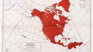 ‼️🇺🇸🏴☠️ В США показали концепцию "Великой Северной Америки" 

▪️Помимо США в нее входят Канада,