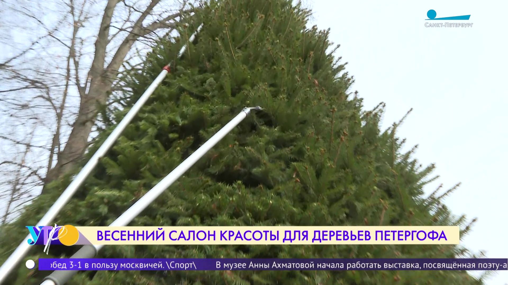 Парки Петергофа готовятся к сезону фонтанов и туристов