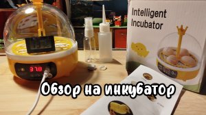Обзор на мини инкубатор