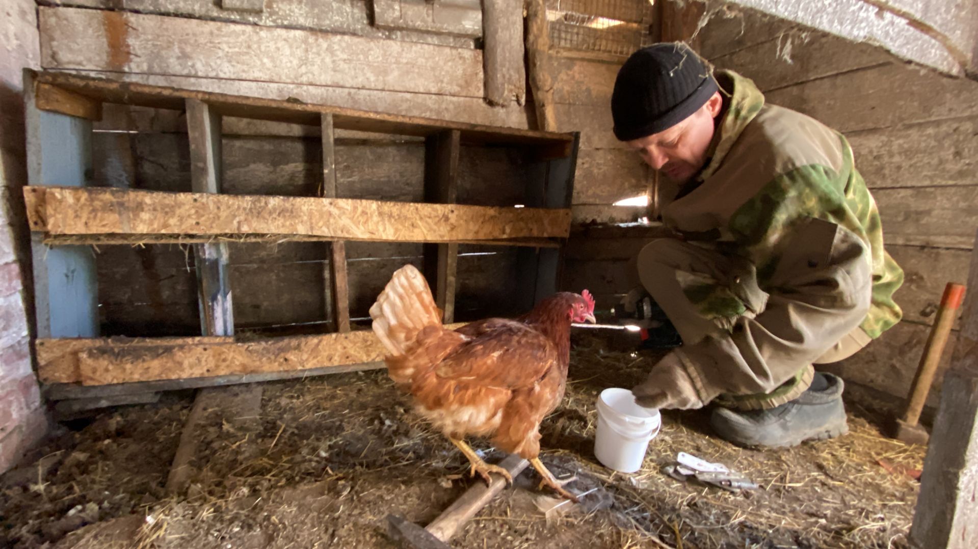 Простая жизнь в деревне🏡Разобрали сарай🔨🐓Весенний лес🌳