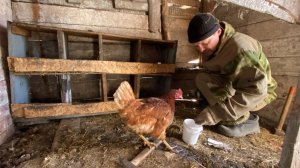 Простая жизнь в деревне🏡Разобрали сарай🔨🐓Весенний лес🌳