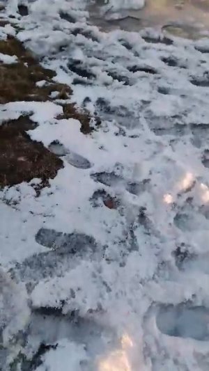 Gyx зимний асмр