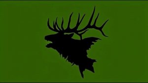 Тень головы оленя_encoded